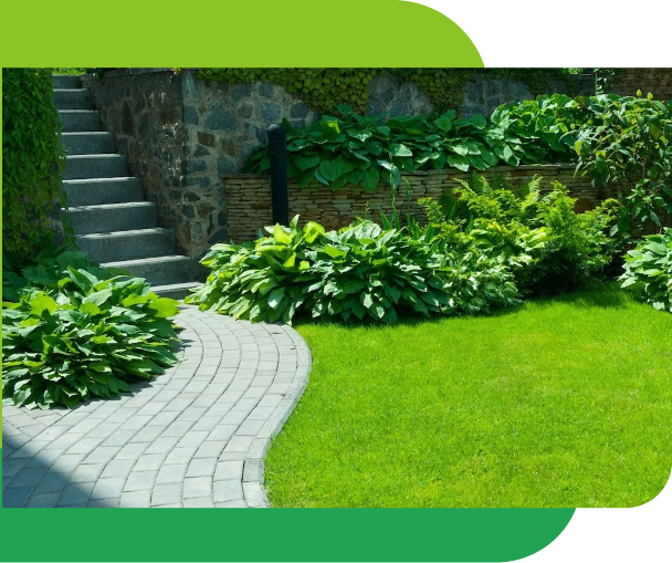 house clearance company